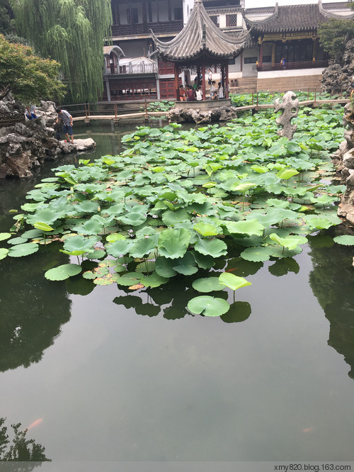 邂逅美麗姑蘇城---兩日游記 - 多多媽咪 - 多多媽咪の編織小窩窩